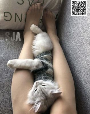 韩国精品一区二区三区四区_高清高清免费观看